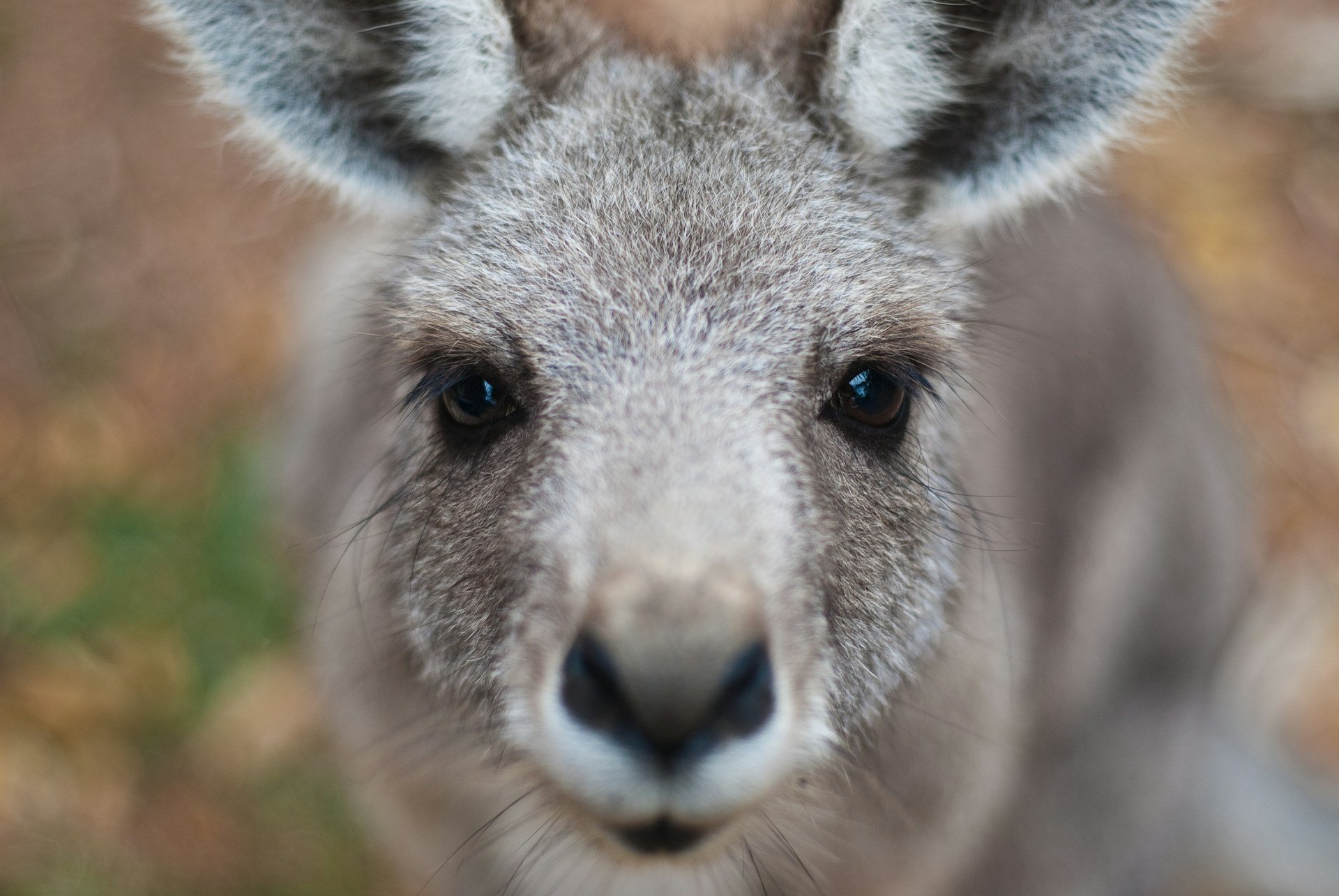 matt-johnson-idgxcn0y4fc-unsplash