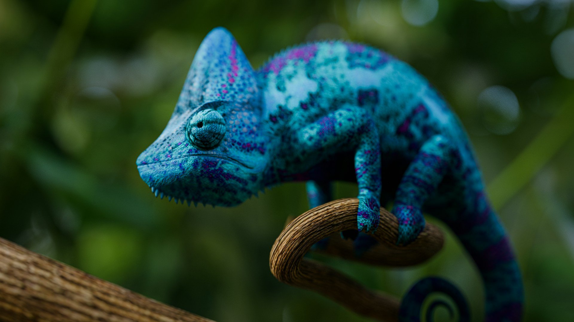 a-chosen-soul-EFqJV1WA5TM-unsplash