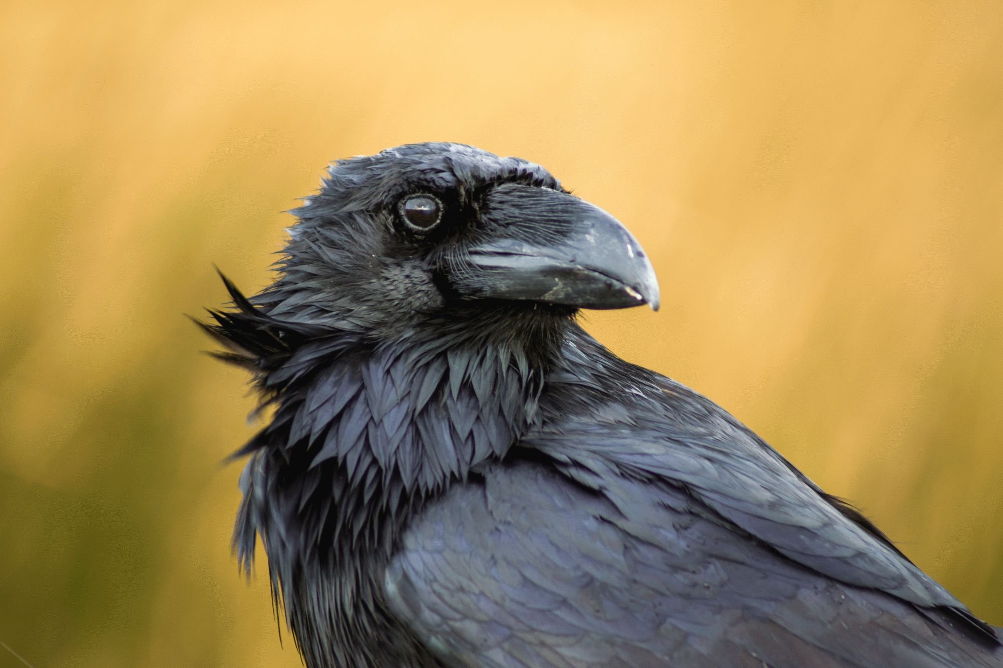 AdobeStock_192636144