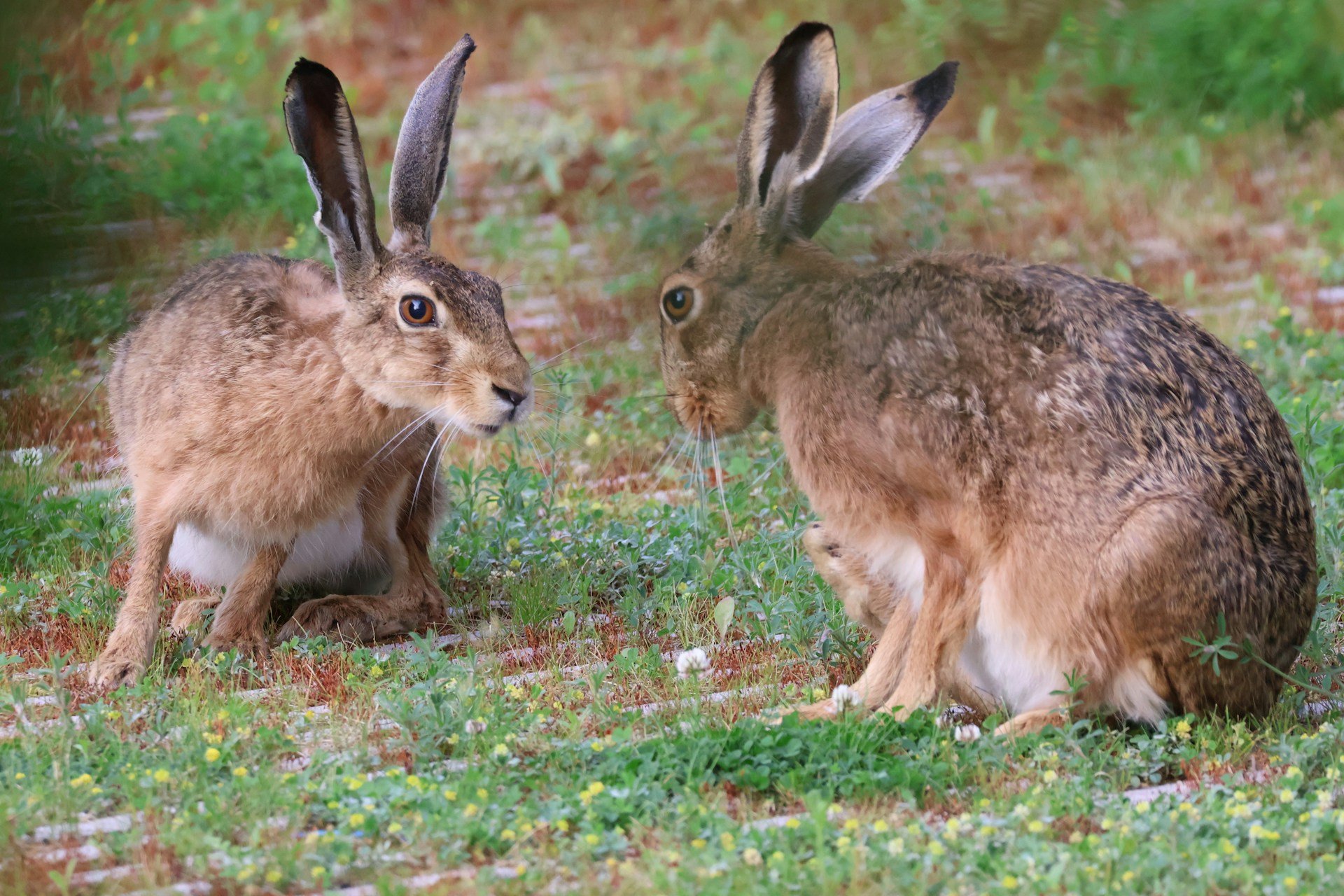 andrey-larionov-gROE5QQ3y0M-unsplash andrey-larionov-gROE5QQ3y0M-unsplash