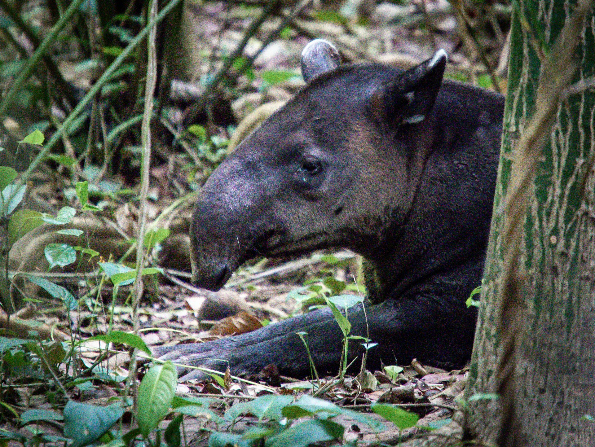 bernd-dittrich-1s1bM5W5uHY-unsplash bernd-dittrich-1s1bM5W5uHY-unsplash