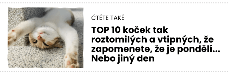 čTĚTE TAKÉ (4)