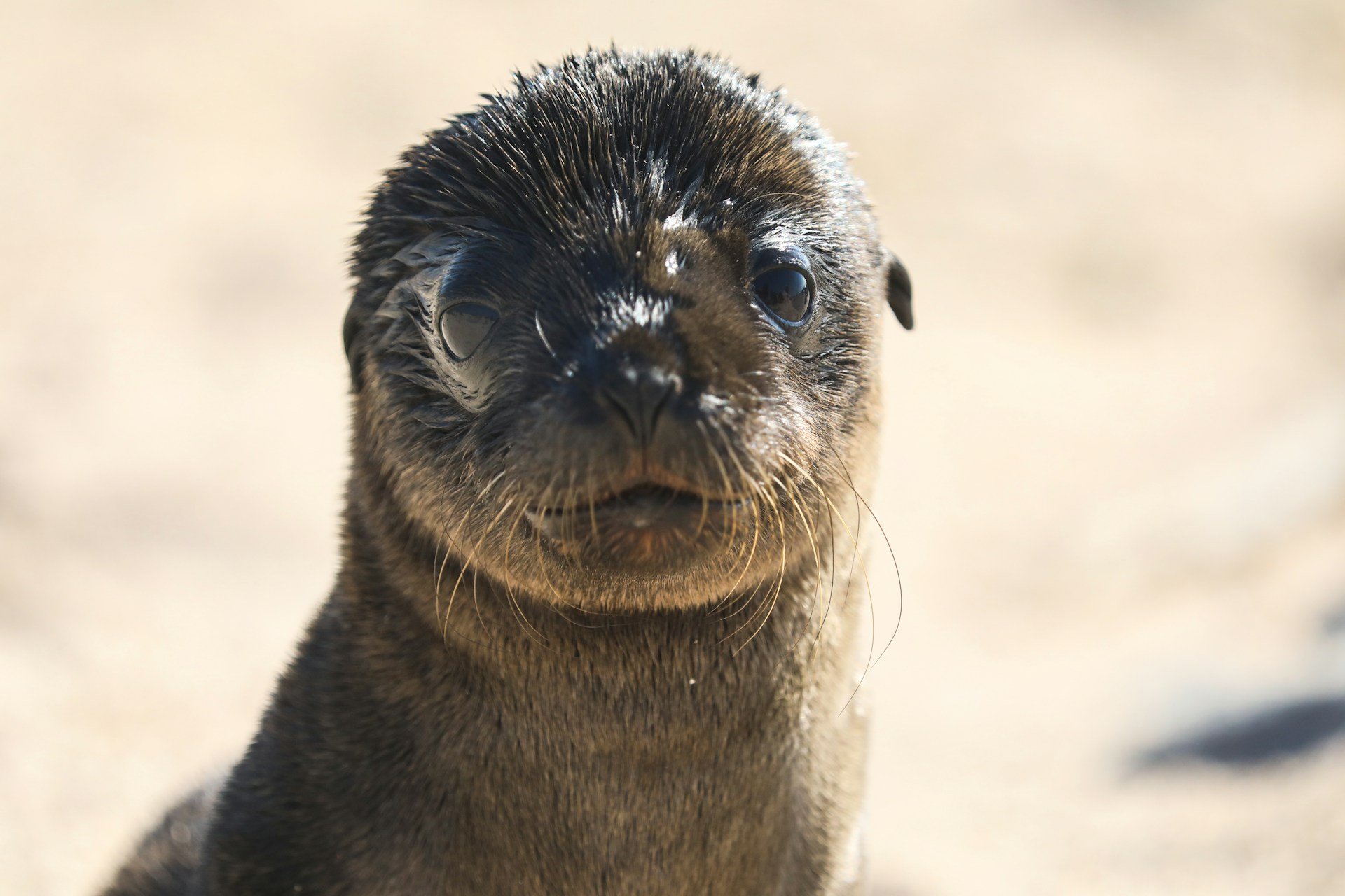 dylan-shaw-09ix1ryj0r4-unsplash dylan-shaw-09ix1ryj0r4-unsplash