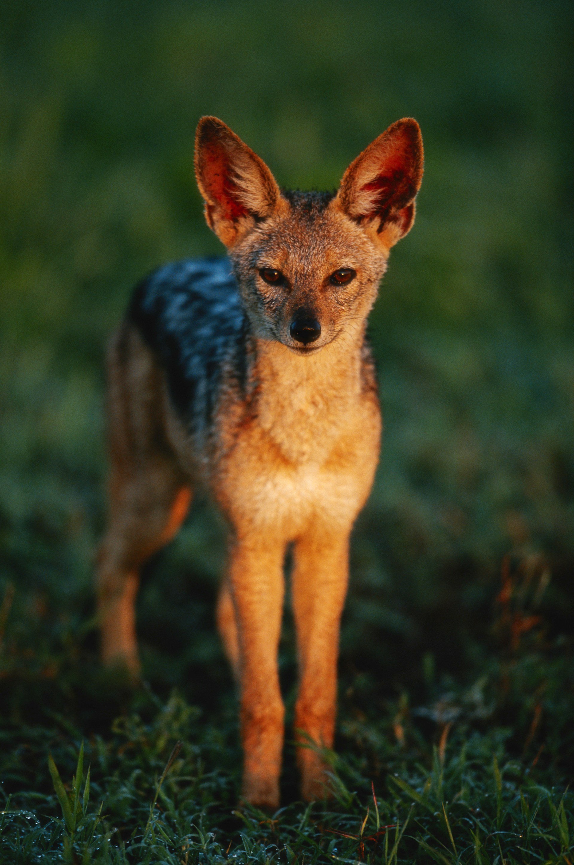 getty-images-dFIL-fHbtuU-unsplash getty-images-dFIL-fHbtuU-unsplash