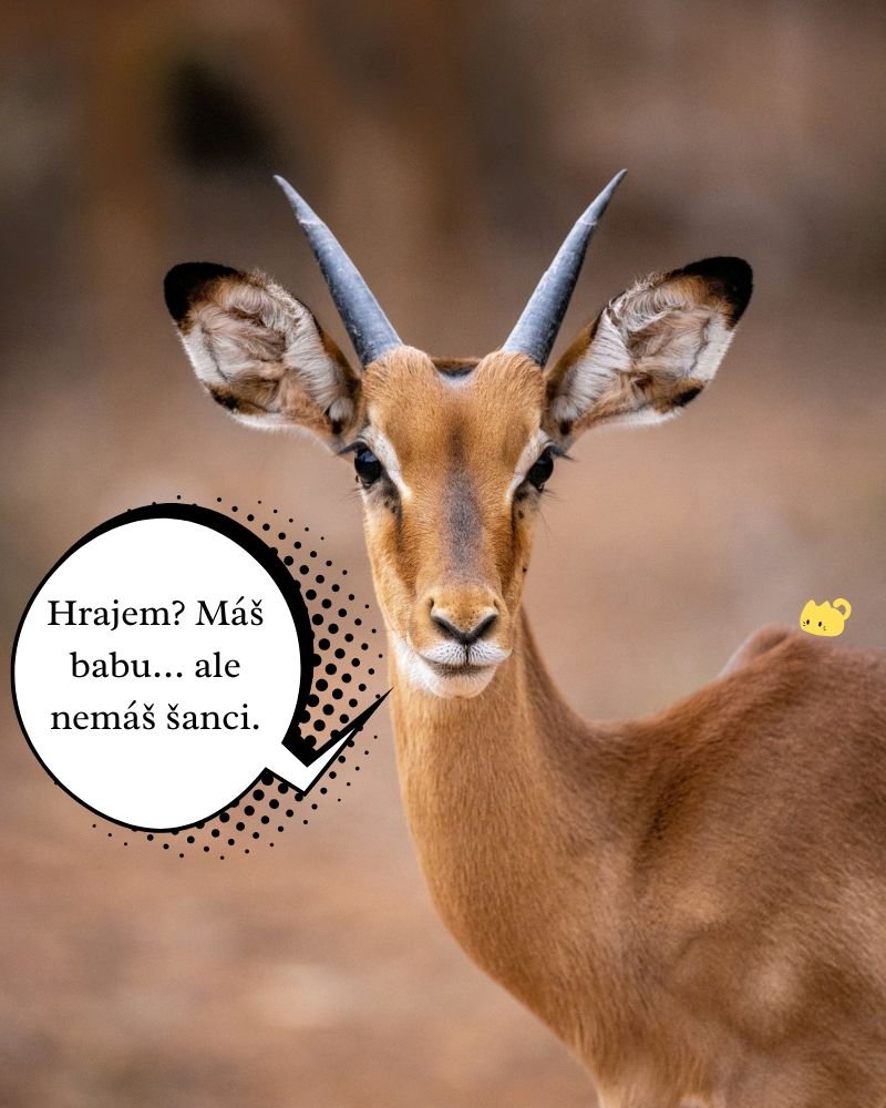 Hrajem Máš babu… ale nemáš šanci.