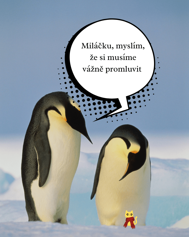 Hrajem Máš babu… ale nemáš šanci.