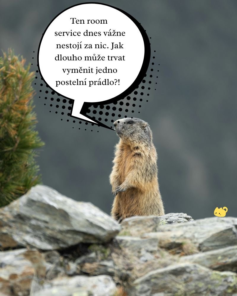 Hrajem Máš babu… ale nemáš šanci.