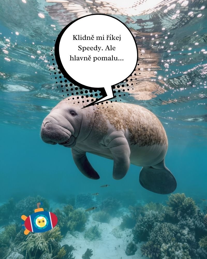 Hrajem Máš babu… ale nemáš šanci.