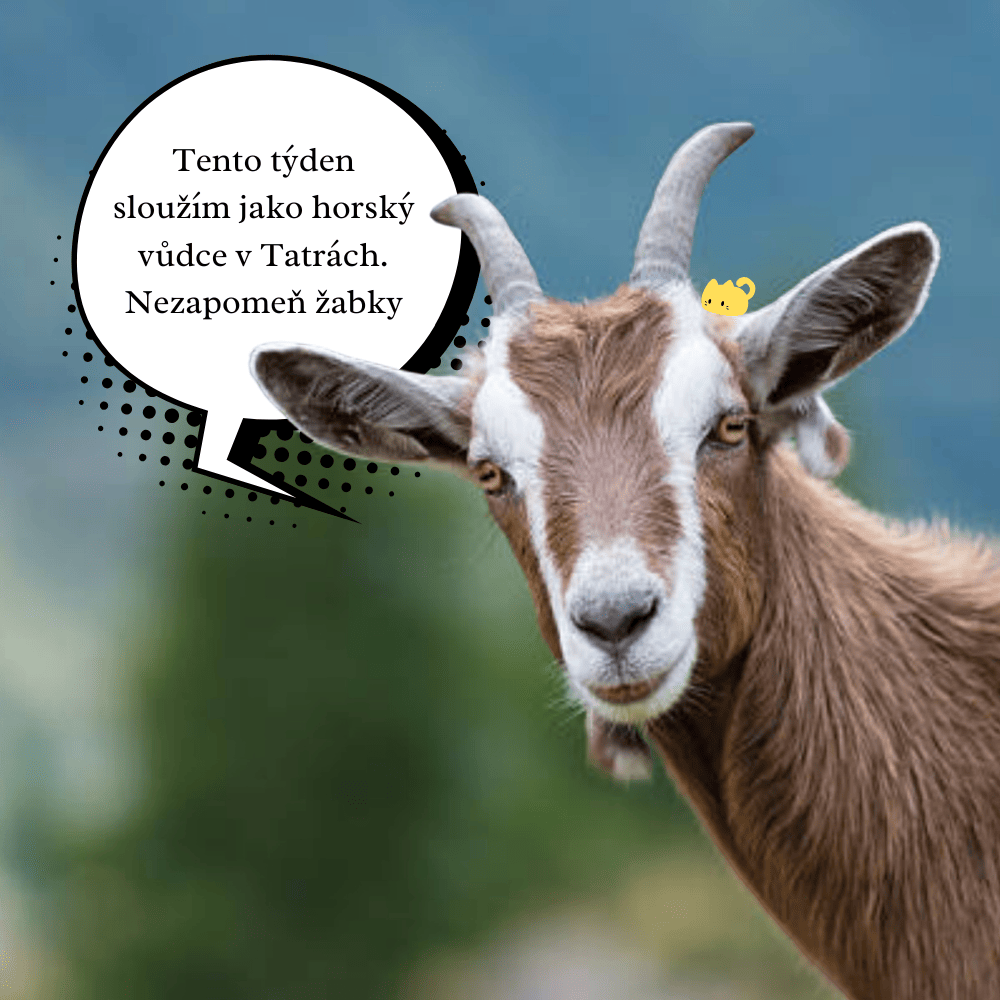 Já nejsem příliš rychlá. Jen ty moc pomalý...