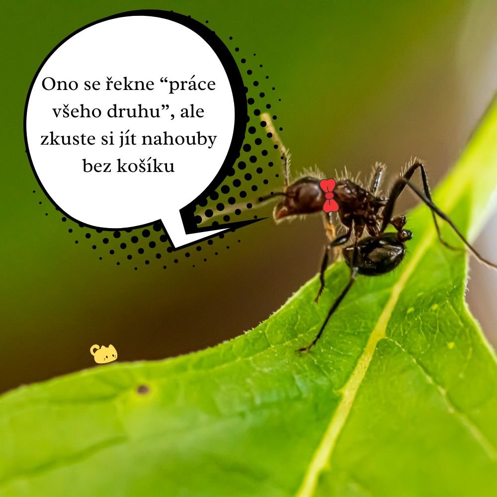 Já nejsem příliš rychlá. Jen ty moc pomalý...