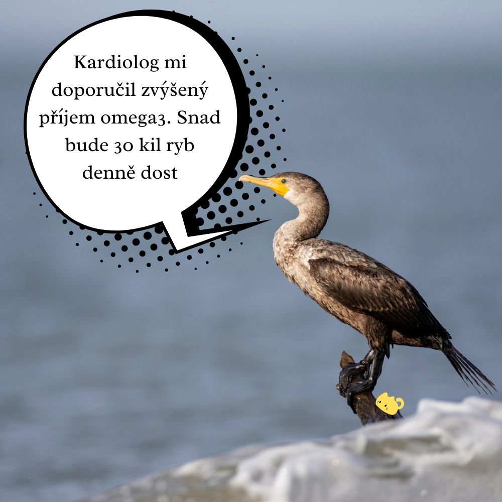 Já nejsem příliš rychlá. Jen ty moc pomalý... Já nejsem příliš rychlá. Jen ty moc pomalý...