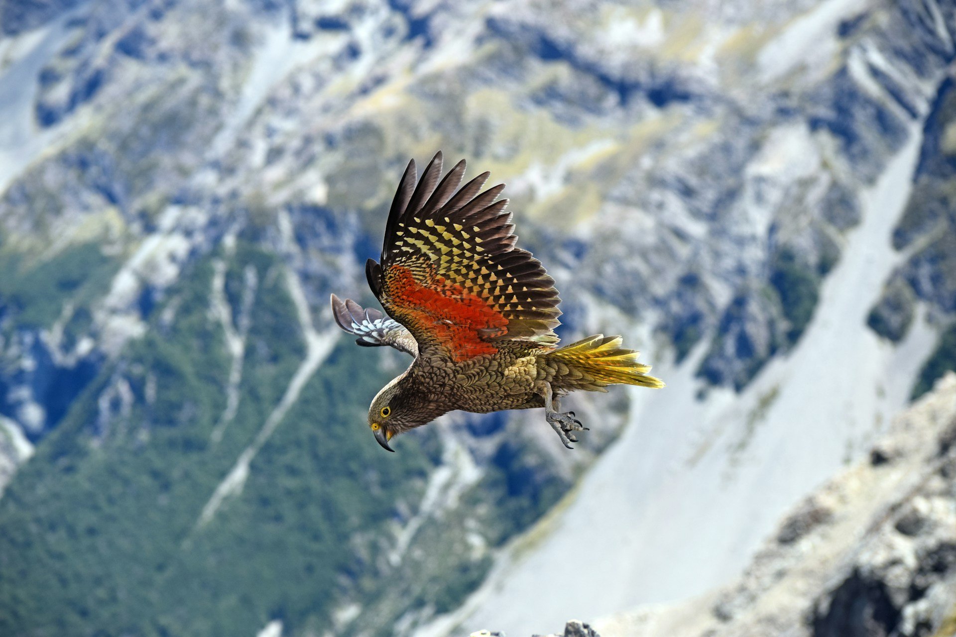 karl-anderson-PYVpFcGF0Ss-unsplash karl-anderson-PYVpFcGF0Ss-unsplash
