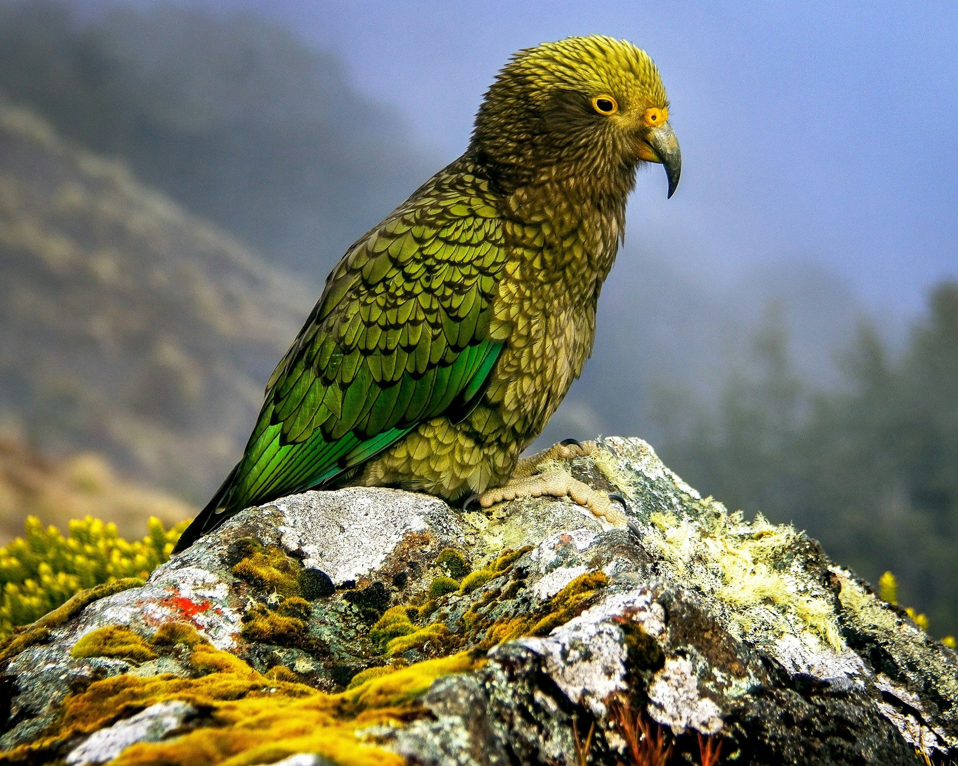 kathleen-banks-VYU6HyLNBao-unsplash kathleen-banks-VYU6HyLNBao-unsplash