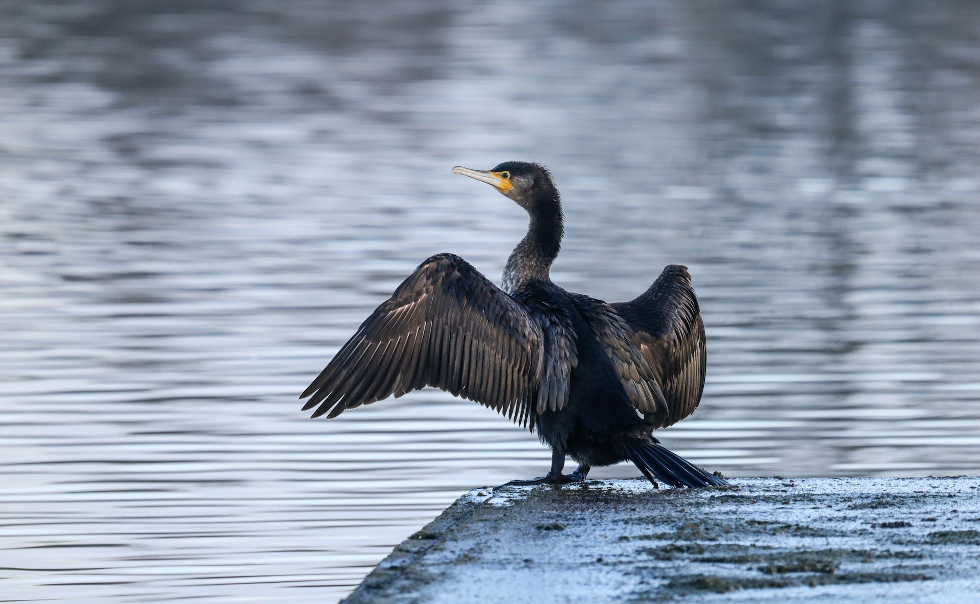 kevin-grieve-yUispQVwPbs-unsplash kevin-grieve-yUispQVwPbs-unsplash