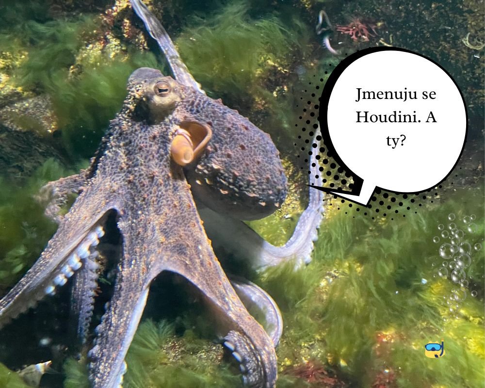 Klidně mluv dál. Je fascinující sledovat, jak si myslíš, že to dává smysl (1)