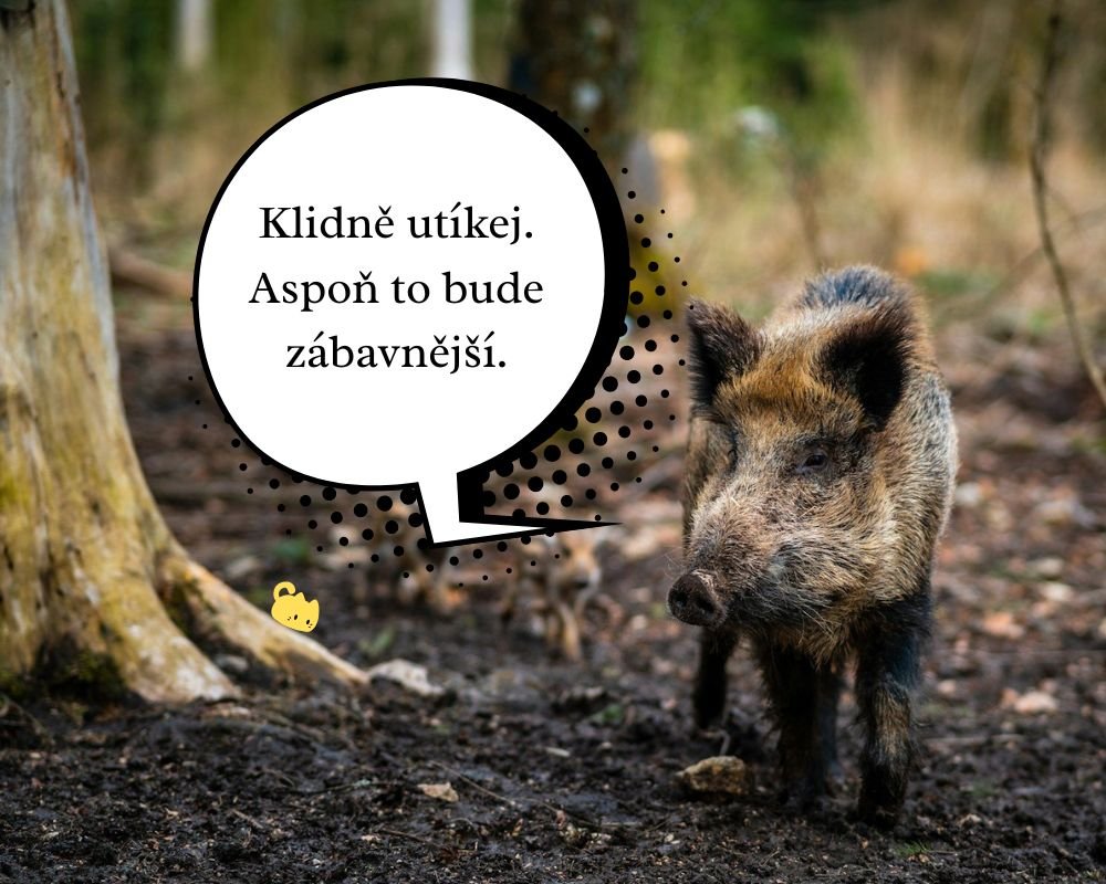 Klidně mluv dál. Je fascinující sledovat, jak si myslíš, že to dává smysl