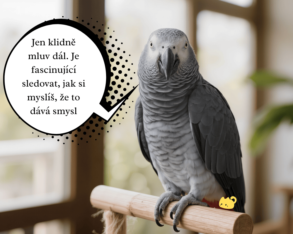 Klidně mluv dál. Je fascinující sledovat, jak si myslíš, že to dává smysl