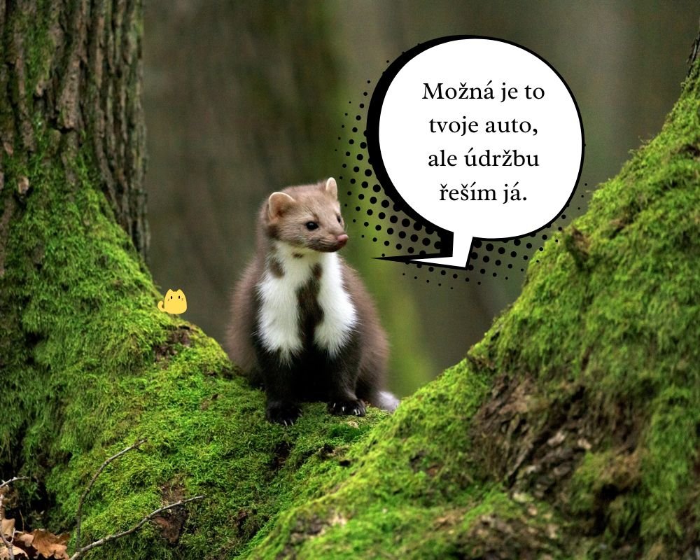 Klidně mluv dál. Je fascinující sledovat, jak si myslíš, že to dává smysl