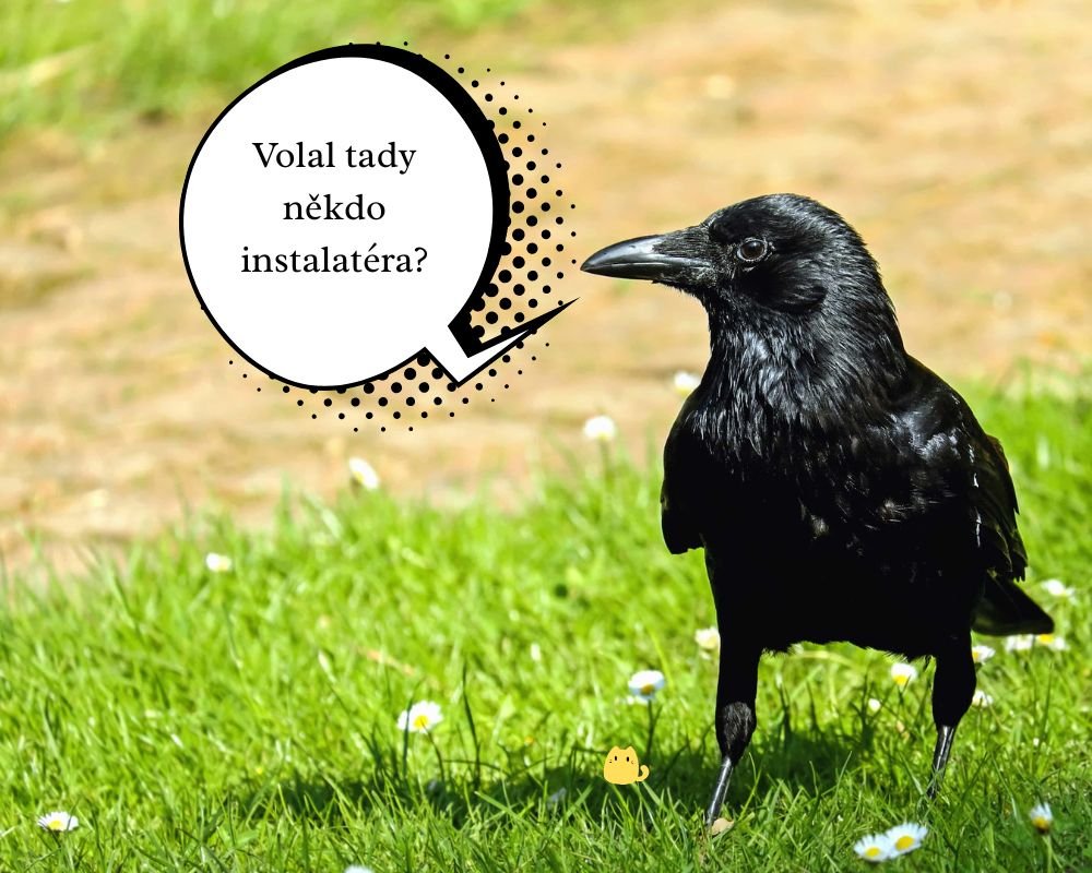 Klidně mluv dál. Je fascinující sledovat, jak si myslíš, že to dává smysl