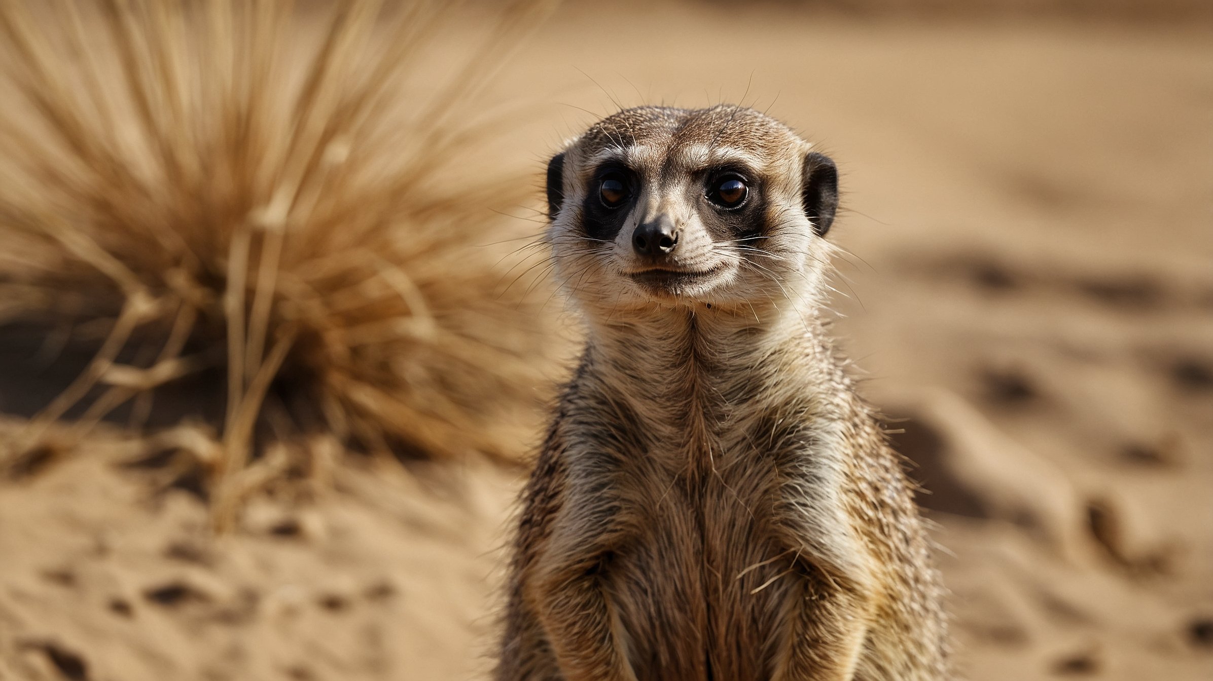 Leonardo_Kino_XL_Ultrarealistic_cinematic_wildlife_photo_of_a_0 Leonardo_Kino_XL_Ultrarealistic_cinematic_wildlife_photo_of_a_0