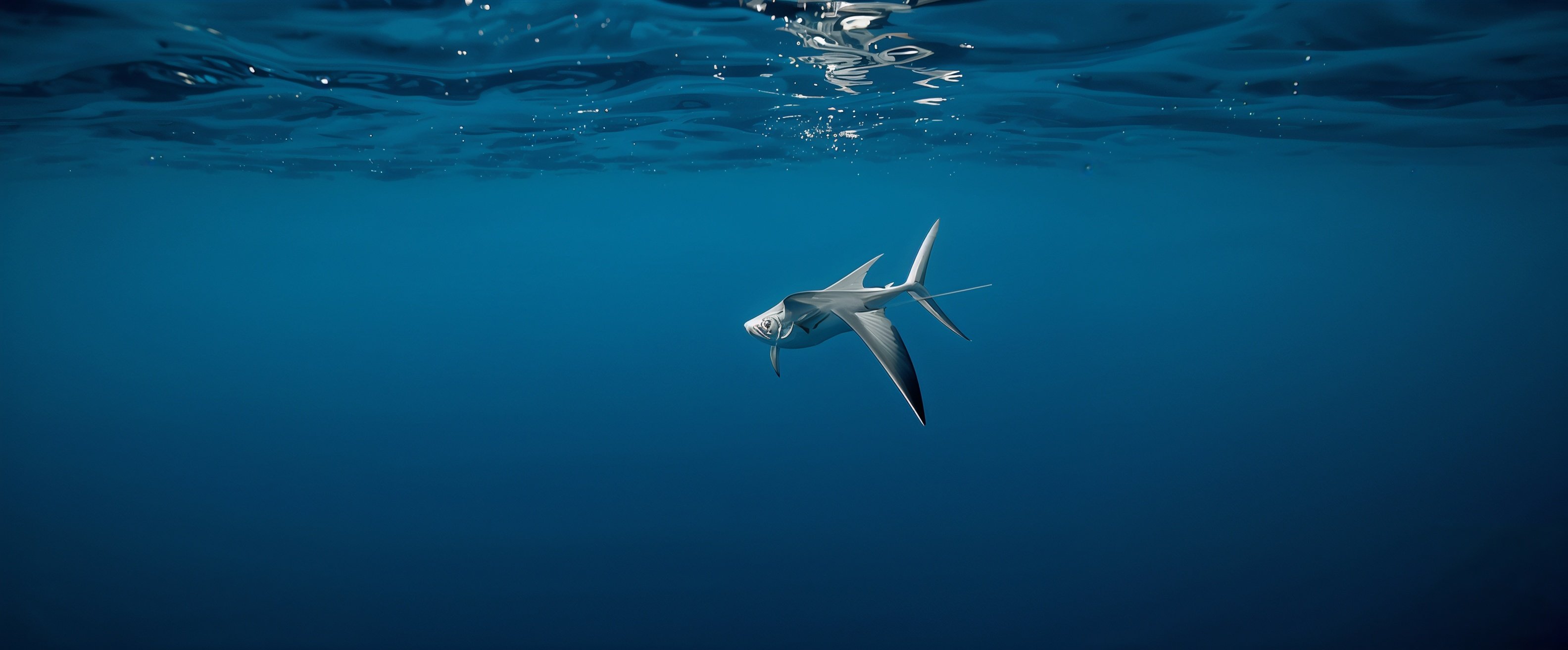 lucid-origin_Ultra-realistic_cinematic_wildlife_photo_of_a_flying_fish_gliding_low_above_deep-0 lucid-origin_Ultra-realistic_cinematic_wildlife_photo_of_a_flying_fish_gliding_low_above_deep-0