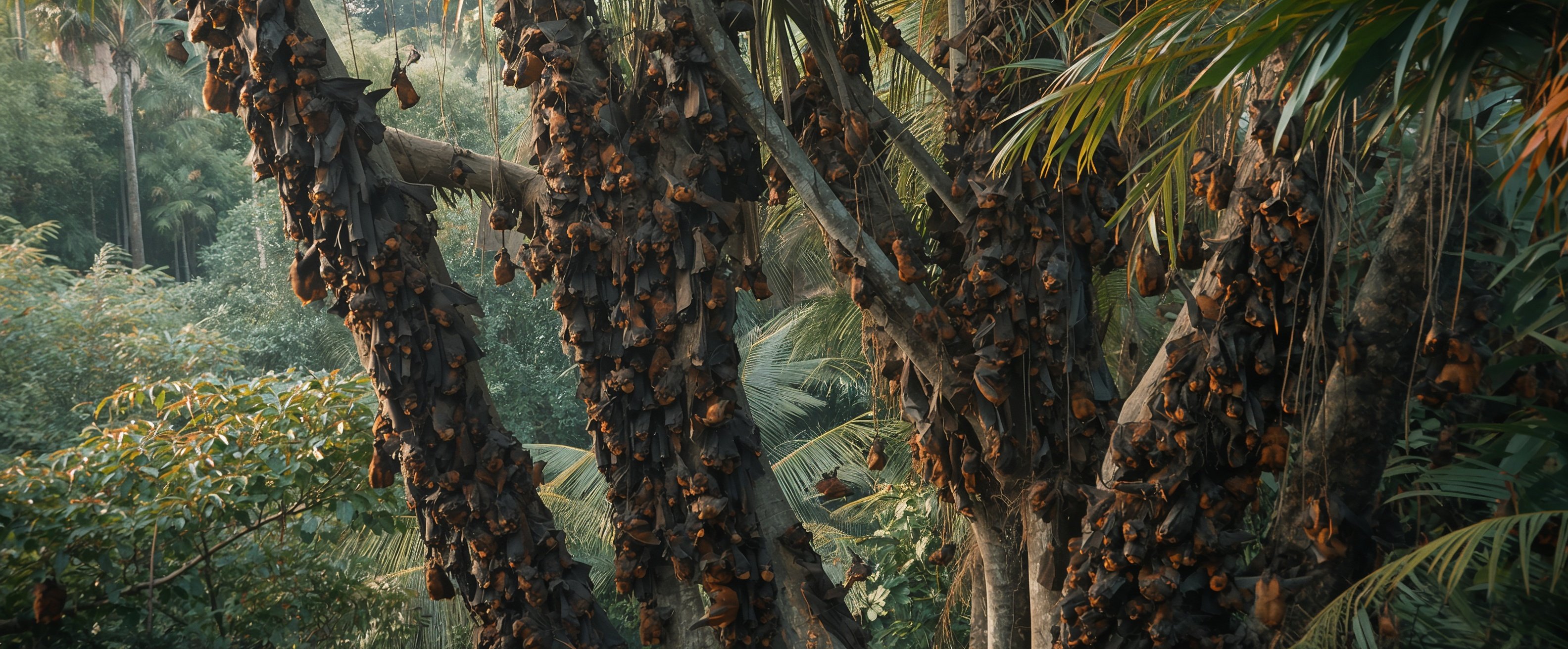 lucid-origin-ultra-realistic-documentary-wildlife-photo-of-a-large-colony-of-flying-fox-bats-0 lucid-origin-ultra-realistic-documentary-wildlife-photo-of-a-large-colony-of-flying-fox-bats-0