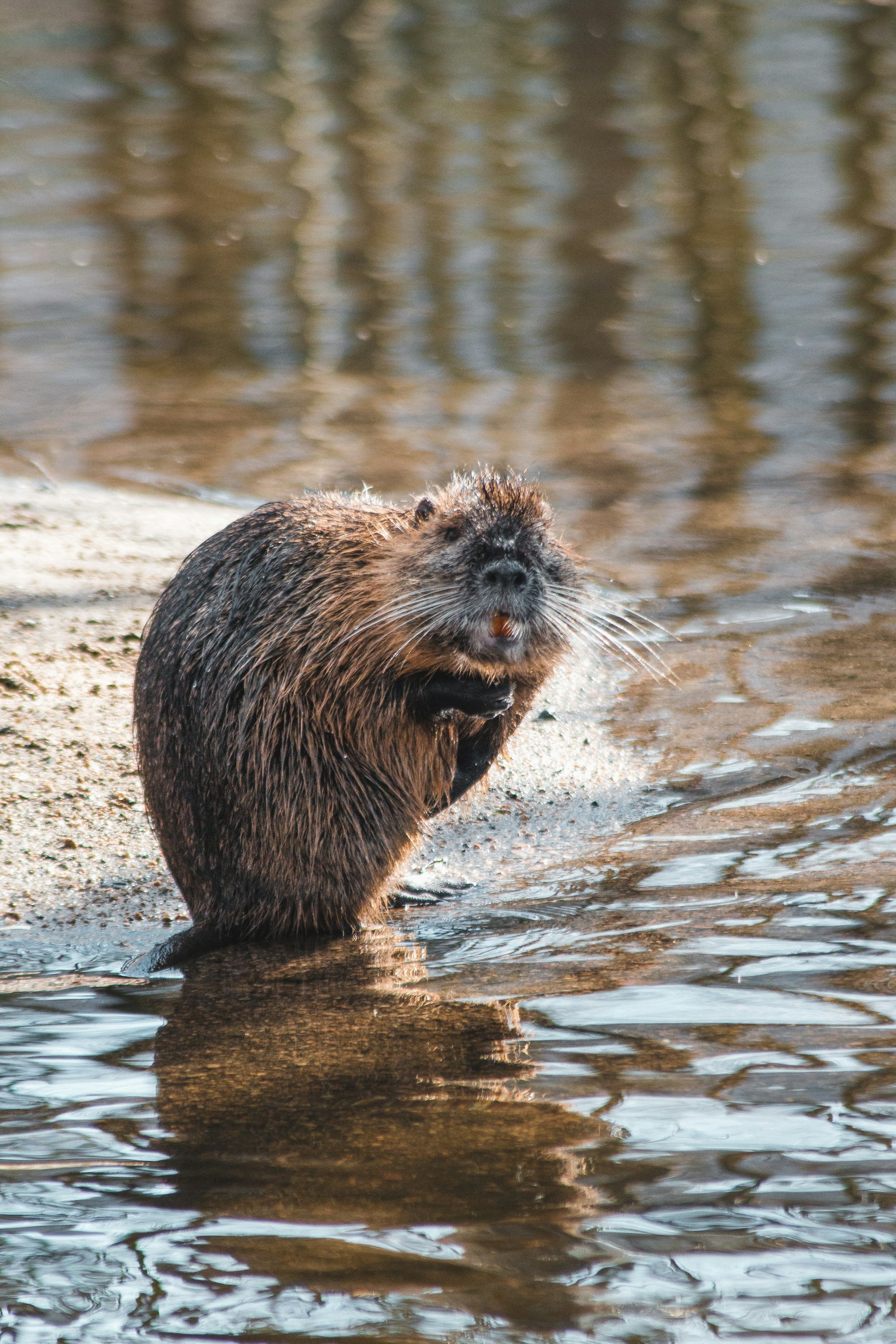 lukas-vanatko-Trbrrbdlnvc-unsplash