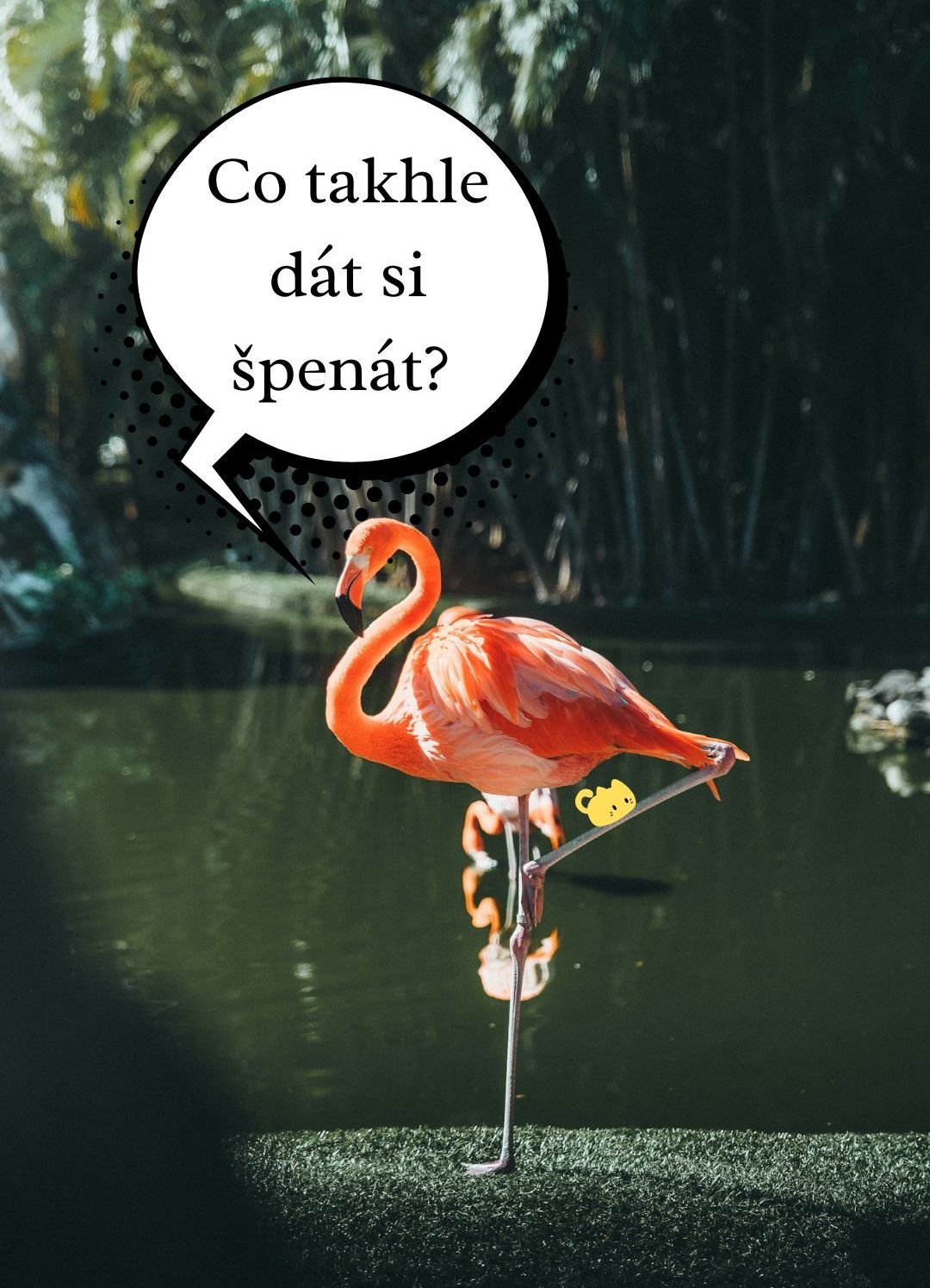 Máš problém! (1)