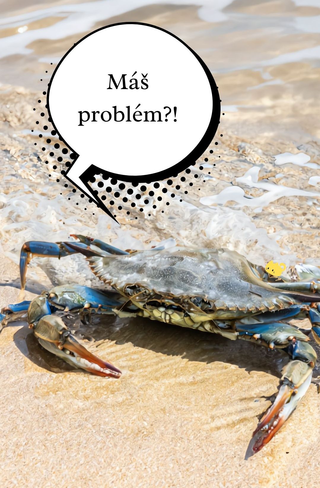 Máš problém! Máš problém!