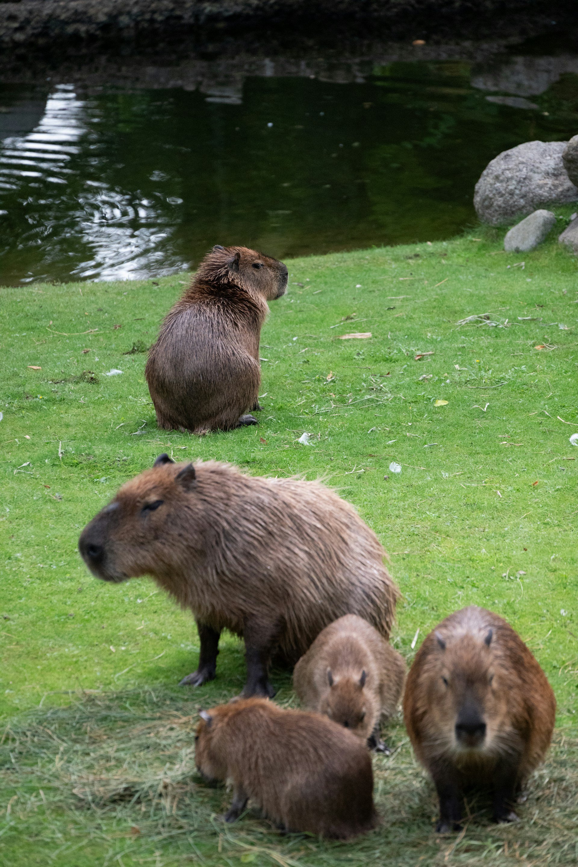 mateusz-bajdak-HETOq3h8XGA-unsplash