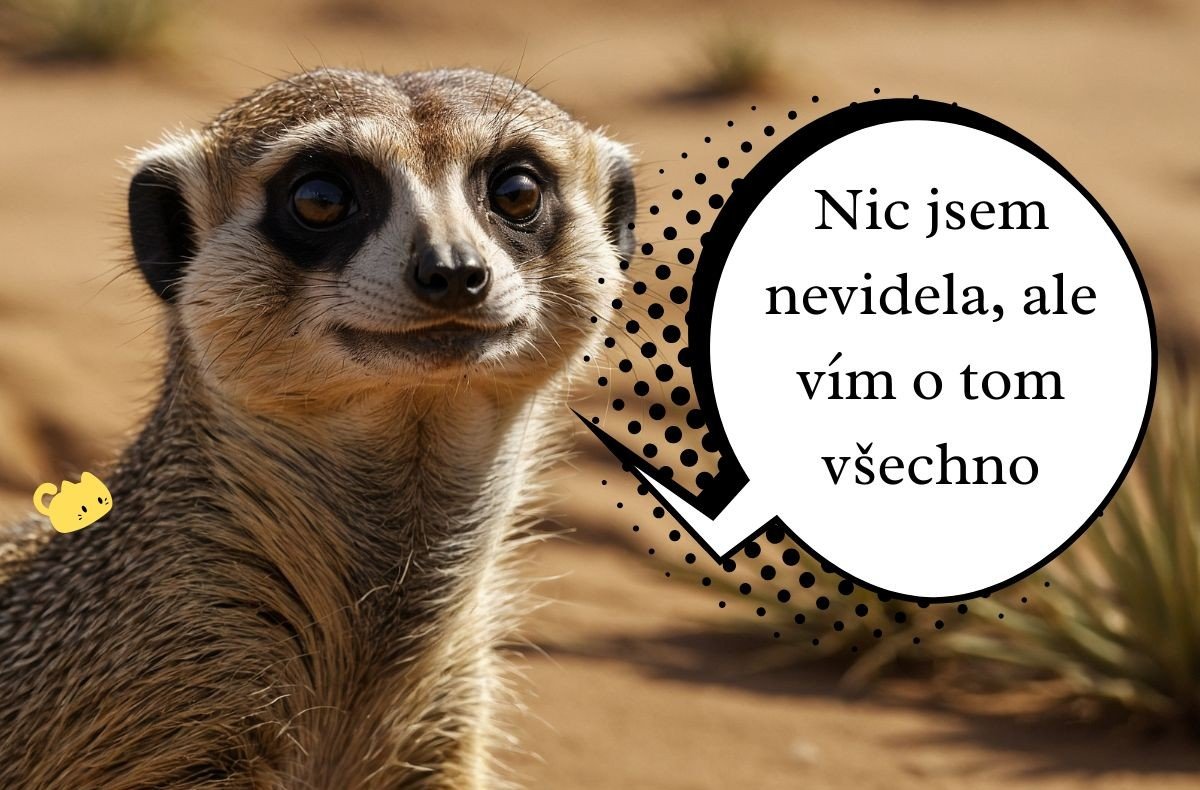 Nic jsem nevidela, ale vím o tom všechno Nic jsem nevidela, ale vím o tom všechno