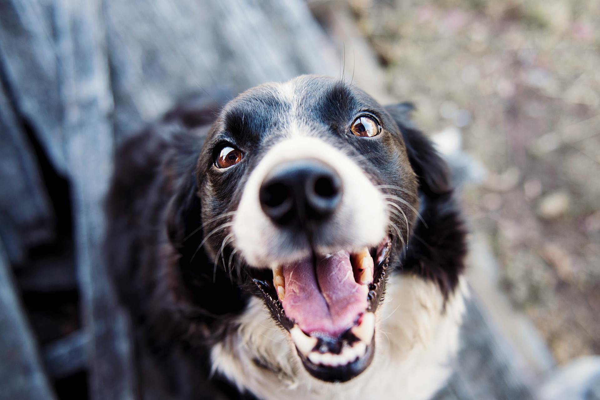 pexels-katlovessteve-551628