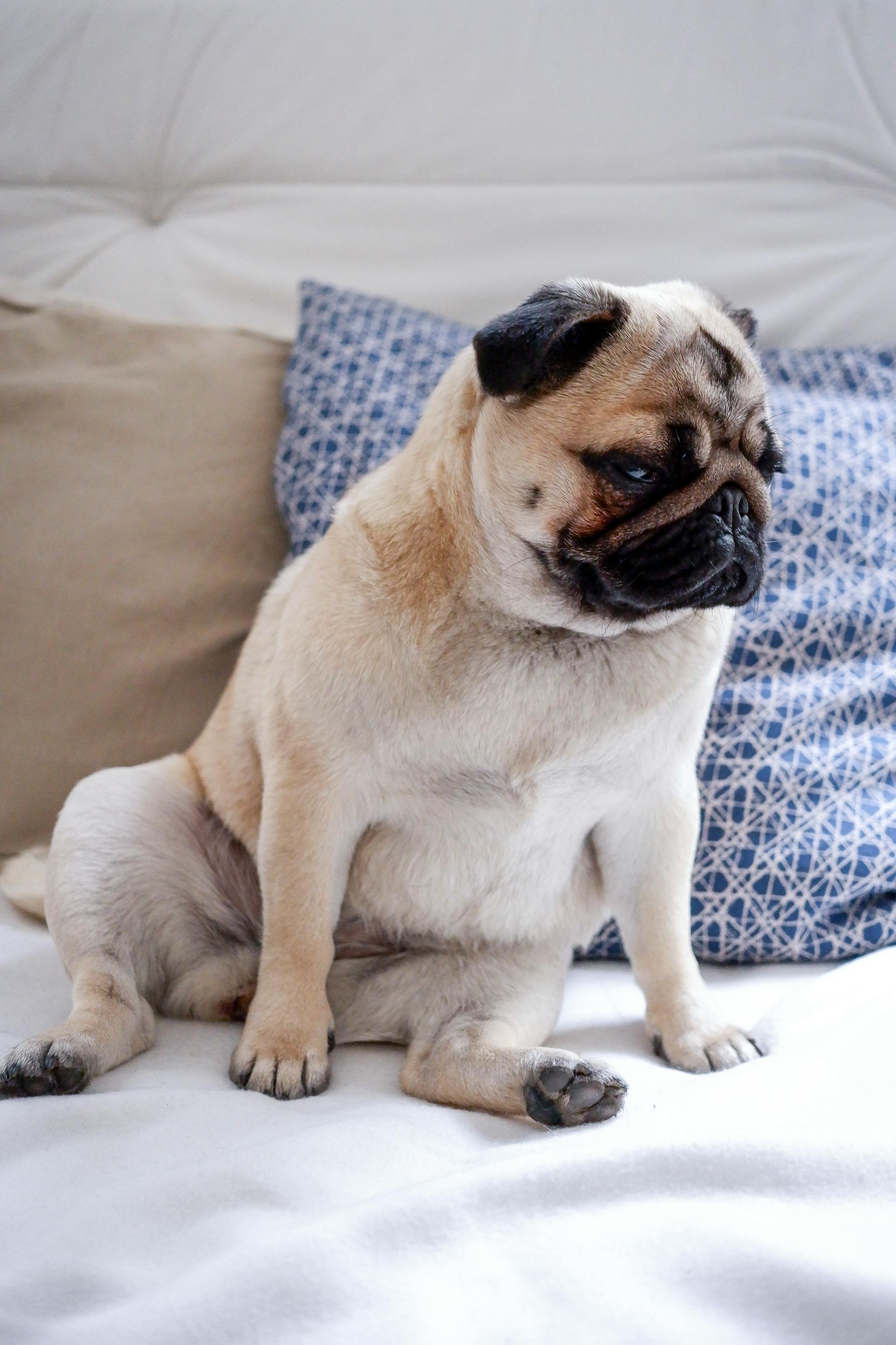 pexels-phloge-3282043-4921991