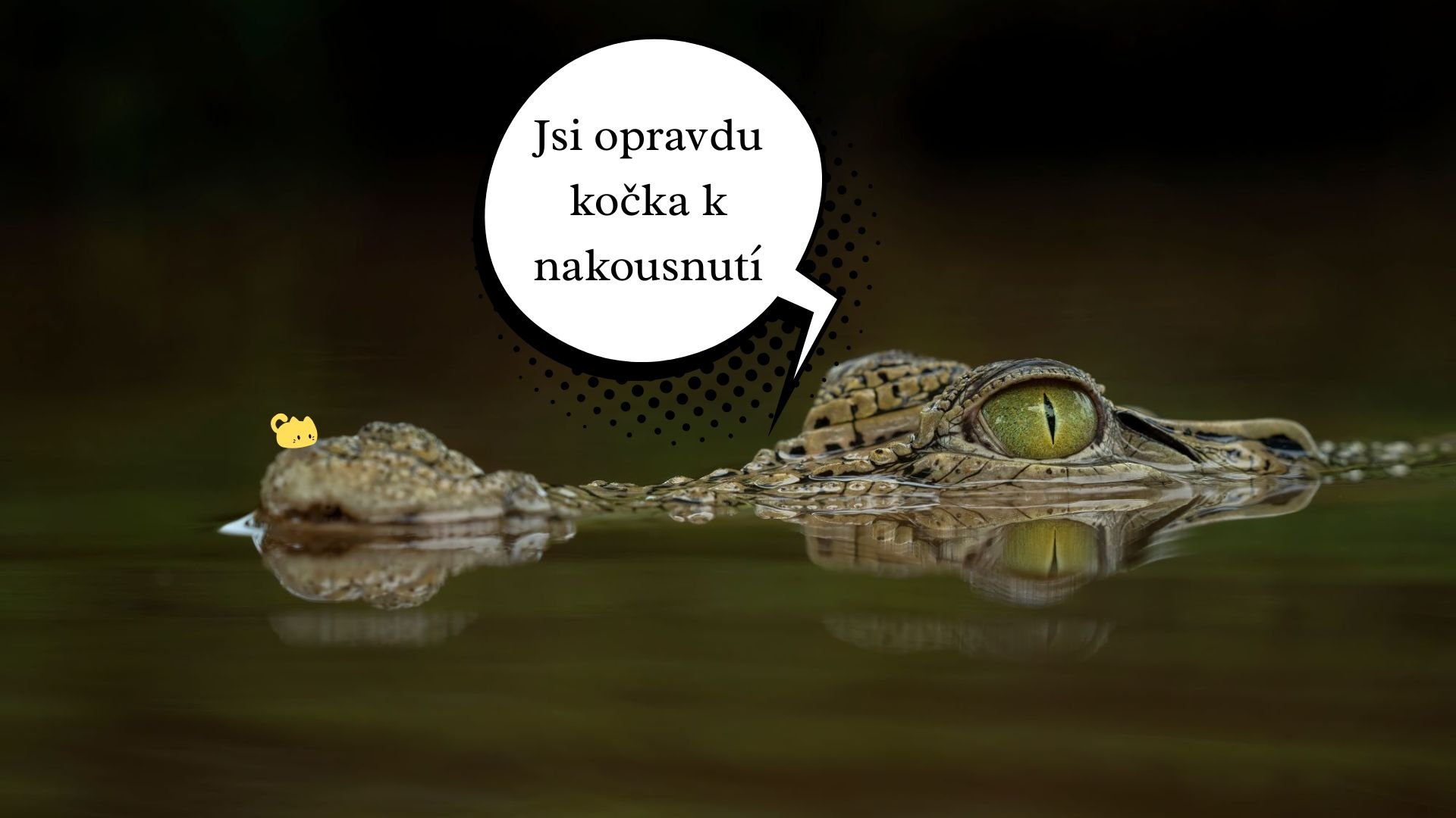 Prý “zapoměl jsem na naše výročí”... To určitě!