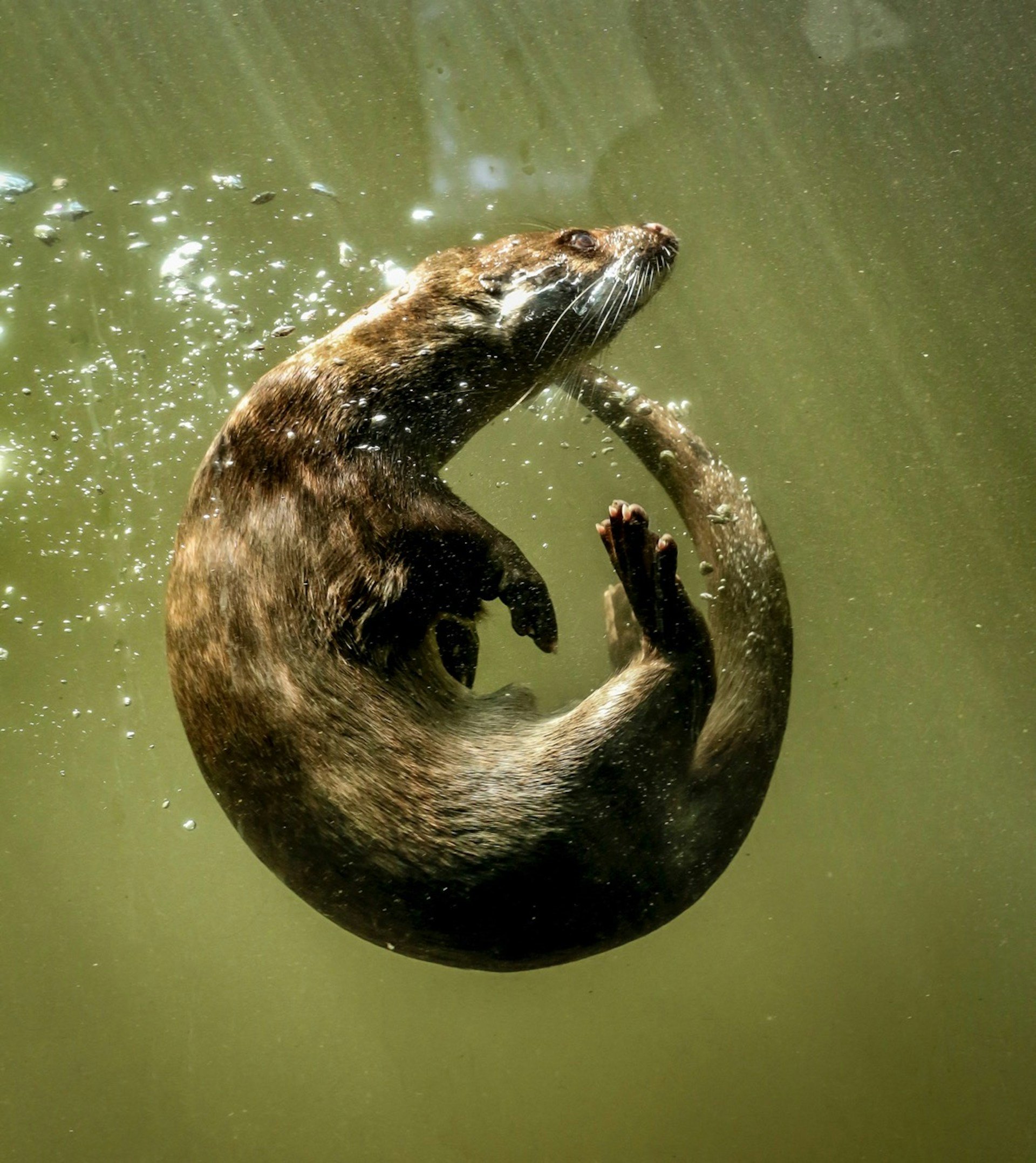 ray-harrington-0yaKFO-_GJM-unsplash ray-harrington-0yaKFO-_GJM-unsplash