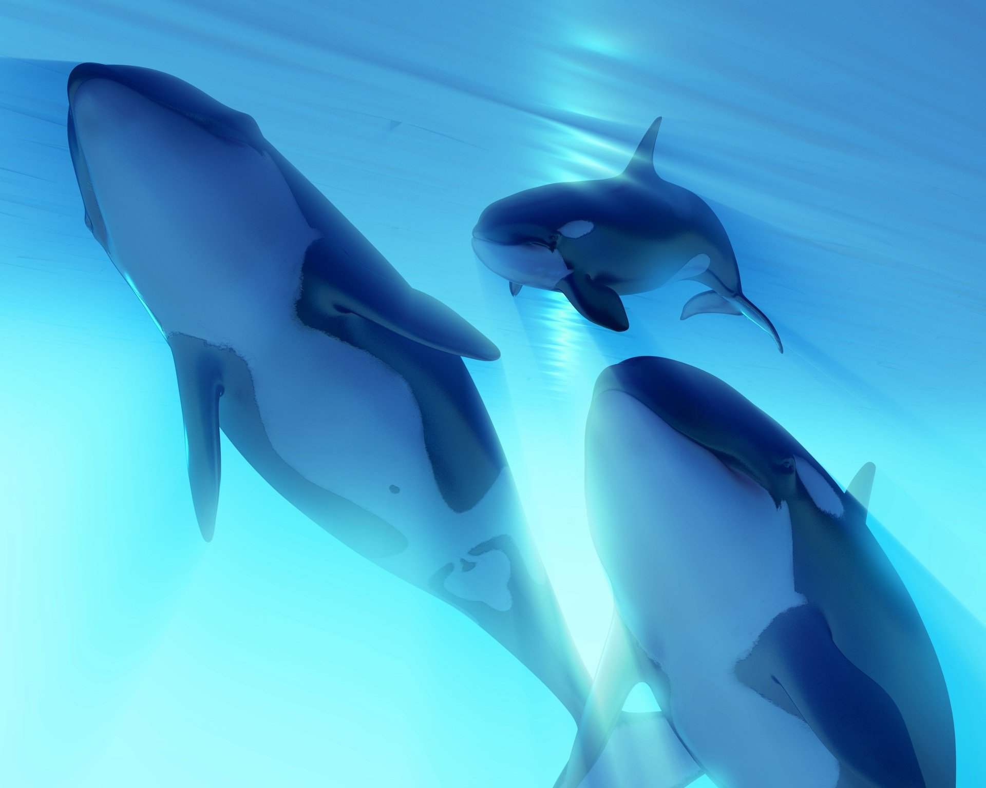 resource-database--2jPQ91-W3M-unsplash resource-database--2jPQ91-W3M-unsplash