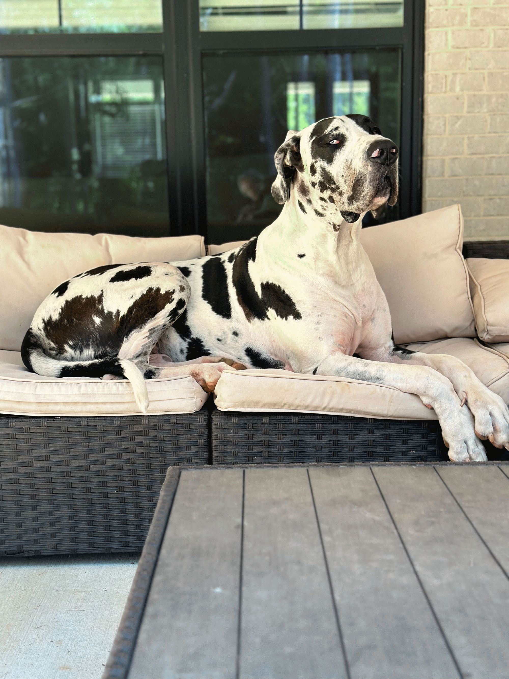 shutterstock_2498332423