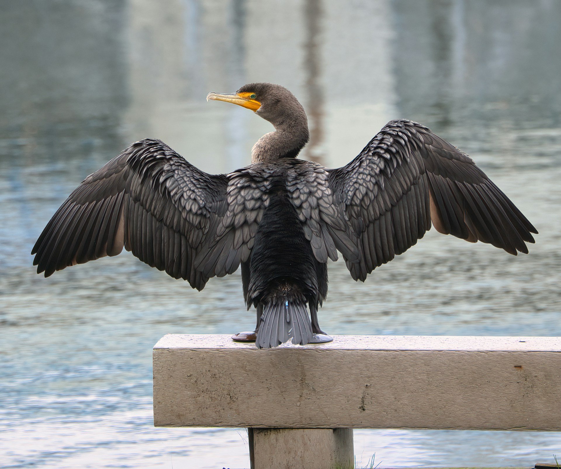 townsend-walton-dhlwdA8udrM-unsplash townsend-walton-dhlwdA8udrM-unsplash