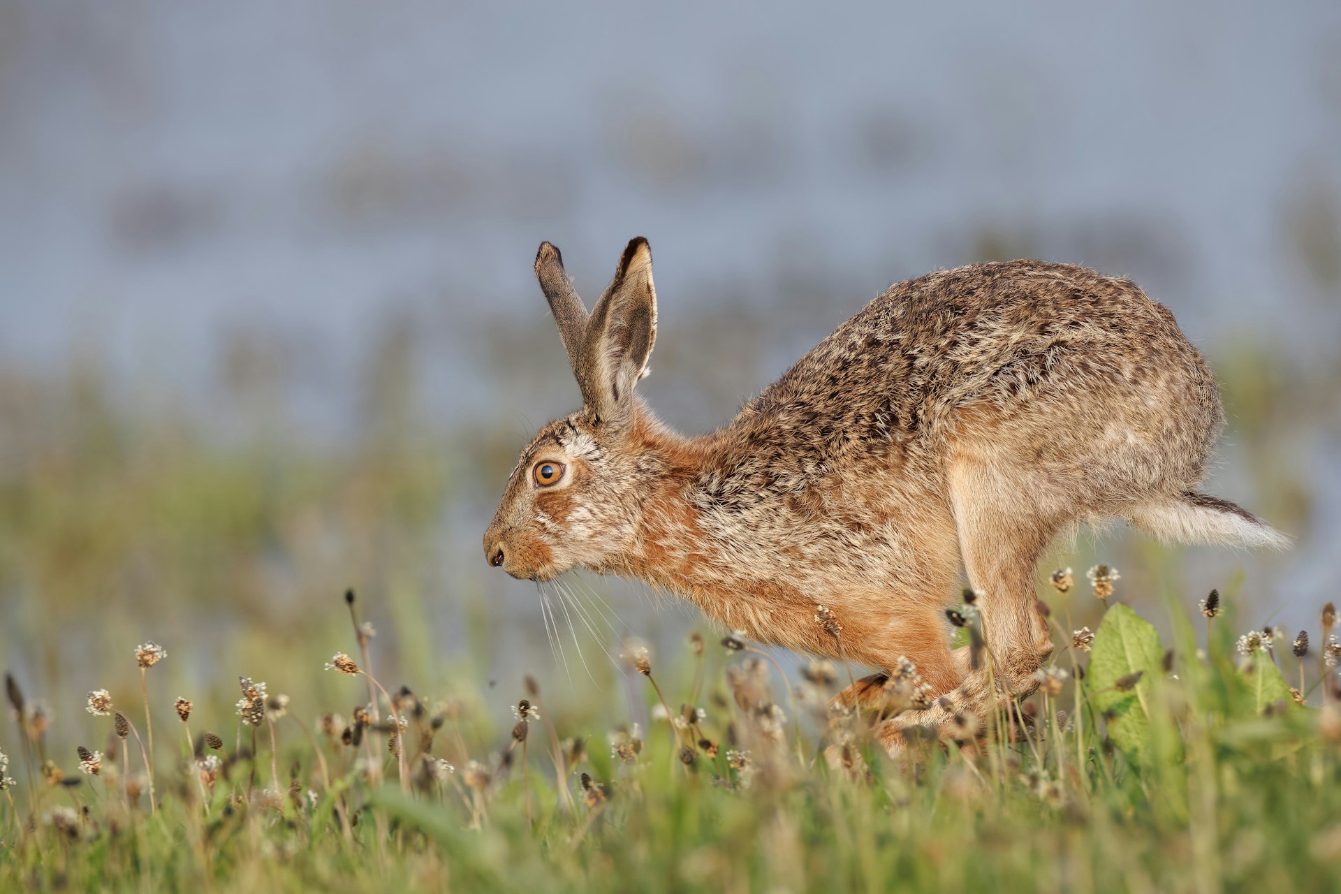 vincent-van-zalinge-wm_UdSLifu4-unsplash vincent-van-zalinge-wm_UdSLifu4-unsplash